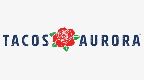 Aurora Png, Transparent Png, Transparent PNG