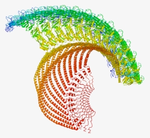 Estructuras Macromoleculares, HD Png Download, Transparent PNG