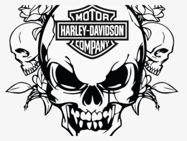 Transparent Harley Motorcycle Clipart Black And White - Harley Davidson Skull Art, HD Png Download, Transparent PNG