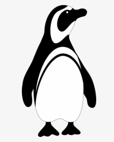 Penguin Bird Vector - Penguin Clipart Black And White, HD Png Download, Transparent PNG