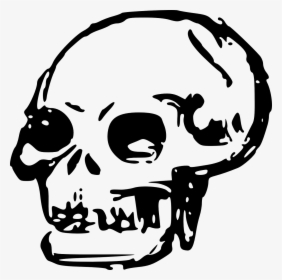 Line Art,head,skull - Skull Clip Art Png, Transparent Png, Transparent PNG
