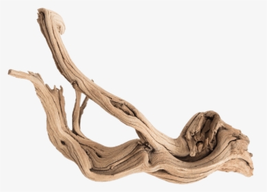 Piece Of Driftwood - Driftwood Png, Transparent Png, Transparent PNG
