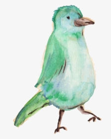 Water Color Bird Png - Watercolor Animals Png, Transparent Png, Transparent PNG