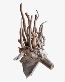 Driftwood Fantasy Animal Head Sculpture 6926 - Driftwood, HD Png Download, Transparent PNG