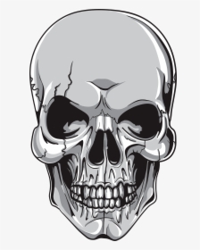 Skull Vector Element Gytsuj8 L - 頭骨 卡通, HD Png Download, Transparent PNG