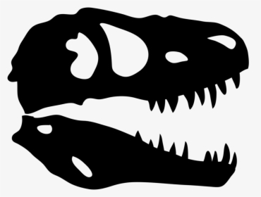 Dinosaur Skull X-ray - Pangaea Land Of Dinosaurs, HD Png Download, Transparent PNG