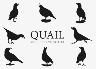 Quail Silhouette, HD Png Download, Transparent PNG