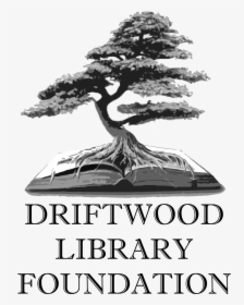 Driftwood Library Foundation - Sageretia Theezans, HD Png Download, Transparent PNG