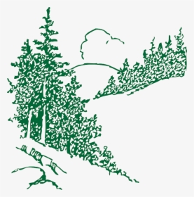 Free Cloud, Outline, Mountain, Plants, Tree, Landscape, - Black And White Pine Trees Clipart, HD Png Download, Transparent PNG