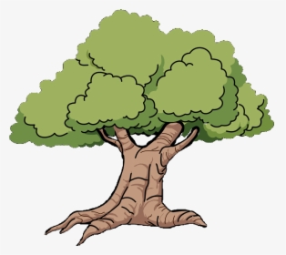 Mississippi Outline Oak Grove Clip Art - Cartoon Oak Tree, HD Png Download, Transparent PNG