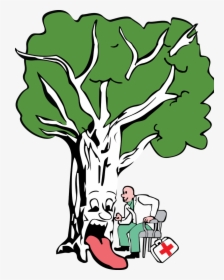 Healthy Tree Drawing, HD Png Download, Transparent PNG