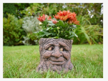 Flowerpot, HD Png Download, Transparent PNG