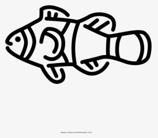 Clown Fish Coloring Page - Pomacentridae, HD Png Download, Transparent PNG