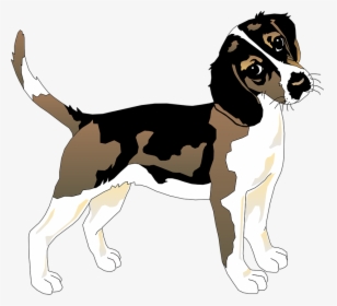 Black, White, Dog, Beagle, Pet, Animal, Mammal, Fur - Datos Curiosos Del Perro, HD Png Download, Transparent PNG