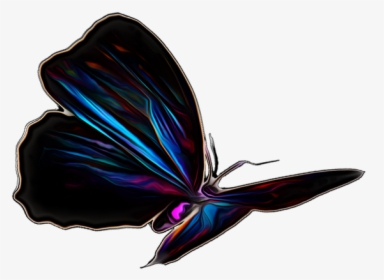 Pictures, Free Photos, Free Images, Royalty Free, Free - Butterfly, HD Png Download, Transparent PNG