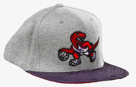 Toronto Raptors Logo Just ☆ Don By Mitchell And Ness - Toronto Raptors, HD Png Download, Transparent PNG