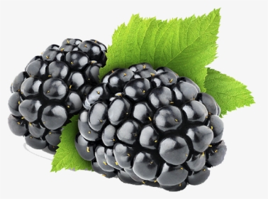 Blackberry Png Image - Black Berry Png, Transparent Png, Transparent PNG