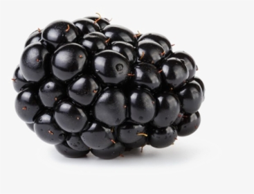 Blackberry Fruit Transparent - Blackberry Fruit, HD Png Download, Transparent PNG