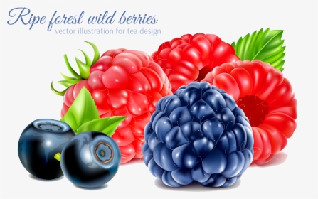 Frutti Di Bosco Raspberry Fruit, HD Png Download, Transparent PNG