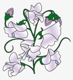 Sweet Pea Border Clipart Sweet Pea Flower Cartoon - Cartoon Sweet Pea Flower, HD Png Download, Transparent PNG