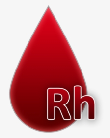 Blood Group Blood A Drop Of Blood - Tipo Sanguineo A Positivo, HD Png Download, Transparent PNG