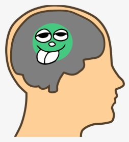 Pea Sized Brain Clip Arts - Cartoon Head With Brain, HD Png Download, Transparent PNG