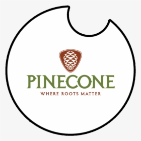 Pinecone, HD Png Download, Transparent PNG