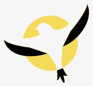 Finch Cleaning Icon, HD Png Download, Transparent PNG