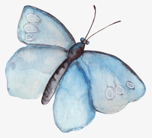 Transparent Wound Clipart - Watercolor Butterflies Clip Art, HD Png Download, Transparent PNG