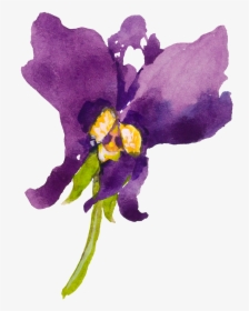 This Graphics Is Purple Cartoon Butterfly Orchid Watercolor - Watercolour Orchid Svg, HD Png Download, Transparent PNG