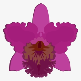 Cattleya-07b - Orchid Flower Clip Art, HD Png Download, Transparent PNG