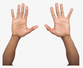 Hand Palm Up Png - Two Hands Up Png, Transparent Png, Transparent PNG
