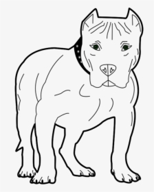 Dog, Animal, Pet, Canine, Bull, Pit, Pit Bull - Transparent Pitbull Clip Art, HD Png Download, Transparent PNG