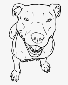 Pitbull Clipart Stencil - Simple Drawings Of Pitbulls, HD Png Download, Transparent PNG