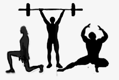 Silhouette Bodybuilding Training Physical Fitness - Fitness Silhouette, HD Png Download, Transparent PNG