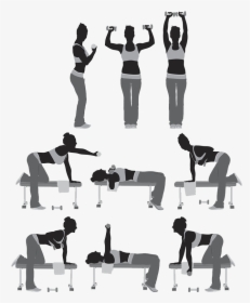 Silhouette Wellness Sa Weight Training Illustration - Illustration, HD Png Download, Transparent PNG