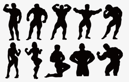 Bodybuilding Fitness Centre Silhouette Muscle - Body Building, HD Png Download, Transparent PNG