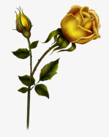 Bud Clipart Yellow Rose - Transparent Black Rose Gif, HD Png Download, Transparent PNG