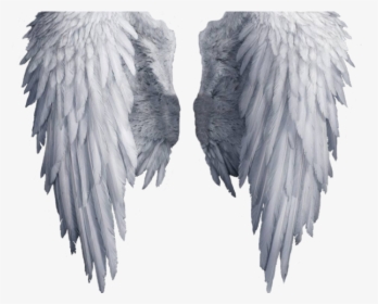 Transparent Background Angel Wings Png, Png Download, Transparent PNG