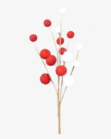 16 - Twig, HD Png Download, Transparent PNG