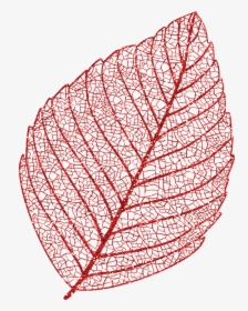 Skeleton Leaf, Autumn Leaf, Glitter Leaf, Skeleton - Circle, HD Png Download, Transparent PNG