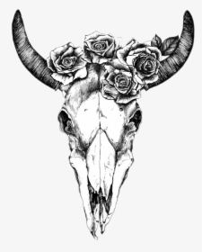 Texas Longhorn Drawing Human Skull Symbolism Bull - Cow Skull With Flowers Drawing, HD Png Download, Transparent PNG