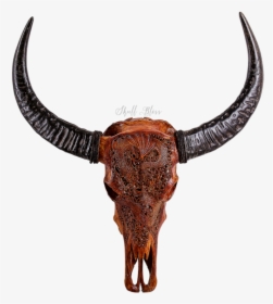 Texas Longhorn English Longhorn Skull Antique - Buffalo Horns Png, Transparent Png, Transparent PNG