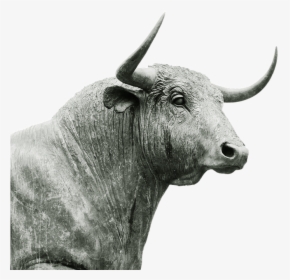 Bull Horns - Bull Horn And Ears, HD Png Download, Transparent PNG
