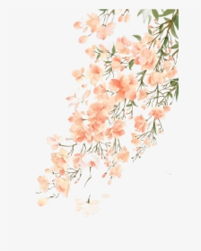 Transparent Beautiful Flower Clipart - Peach Background With Flowers, HD Png Download, Transparent PNG