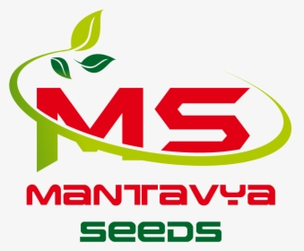 Mantavya Seeds - Castelli, HD Png Download, Transparent PNG