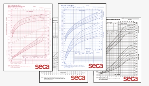 Seca Growth Chart For Boys 2-20 Years - Paper, HD Png Download, Transparent PNG