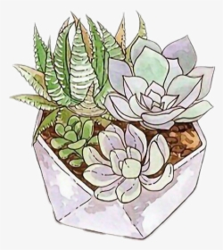 #freetoedit #cactus #succulent #tumblr - Succulent Sticker Tumblr Png, Transparent Png, Transparent PNG