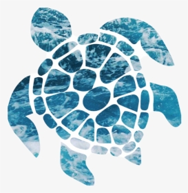 #cute #turtle #ocean #blue #pretty #sticker #niche - Ocean Sea Turtle Sticker, HD Png Download, Transparent PNG