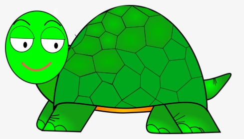 Cartoon Green Turtle Drawing, HD Png Download, Transparent PNG
